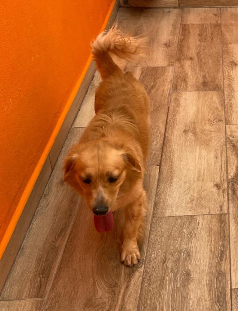 multimedia-foto85674-588-1