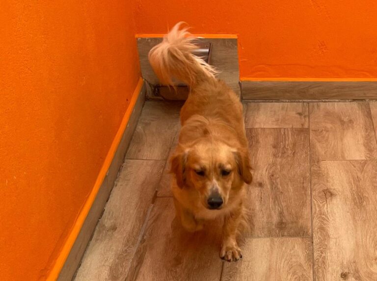 multimedia-foto85675-588-1