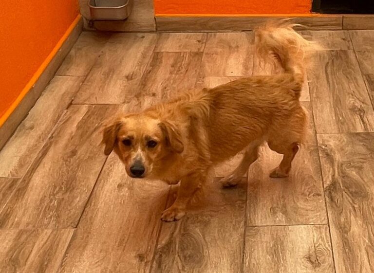 multimedia-foto85676-588-1