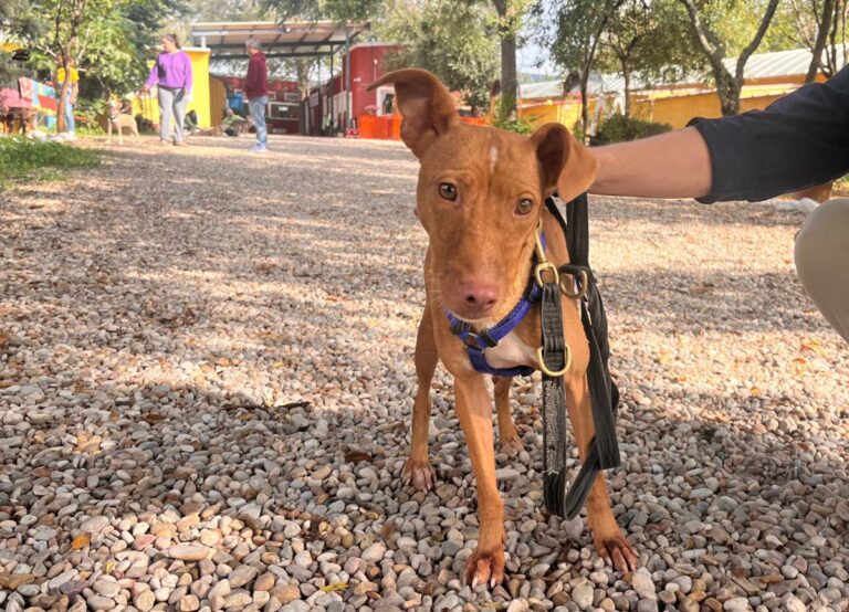 multimedia-foto85691-727-1