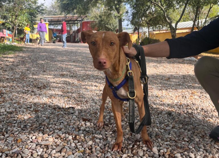 multimedia-foto85693-727-1