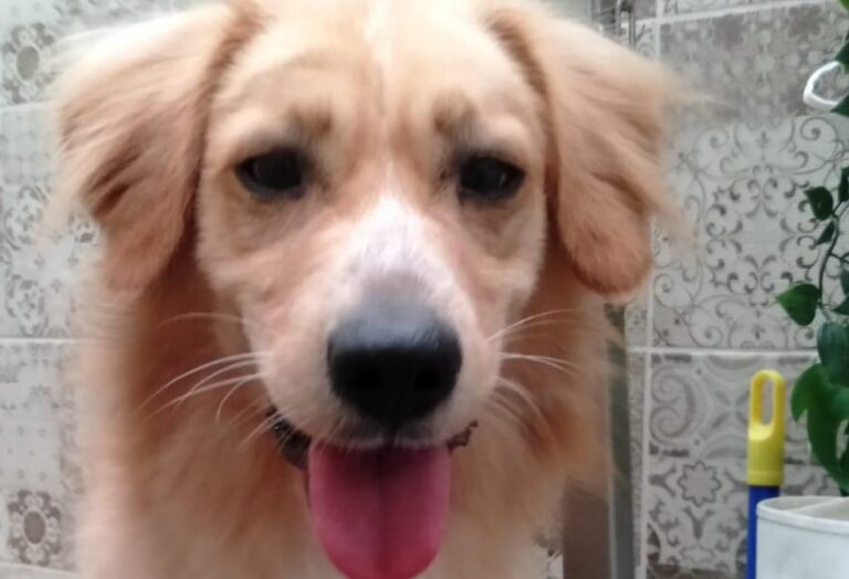 multimedia-foto85696-241-1