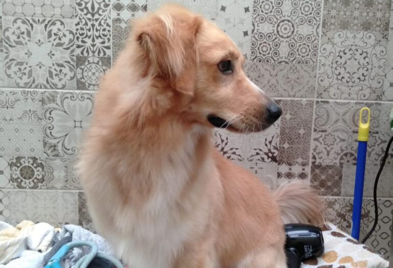 multimedia-foto85697-242-1