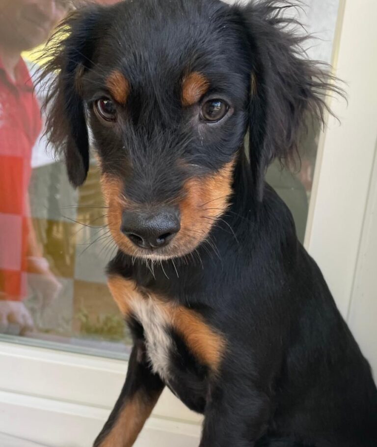 multimedia-foto85699-182-1