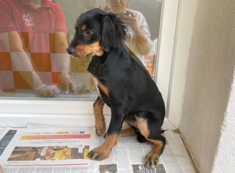 multimedia-foto85700-182-1