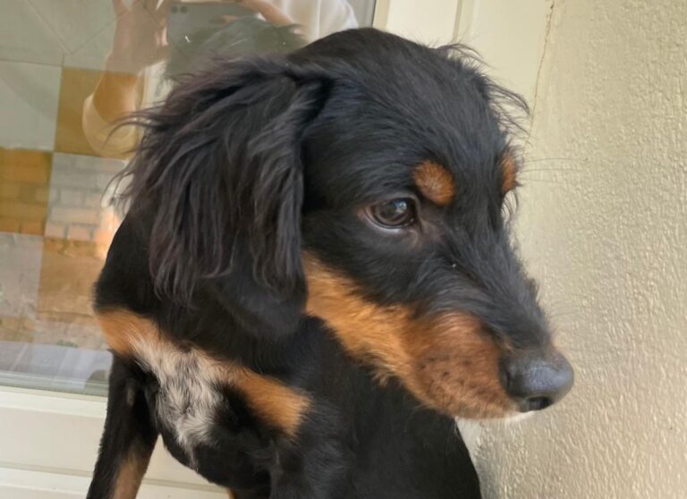 multimedia-foto85701-182-1