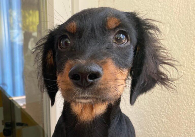 multimedia-foto85703-183-1