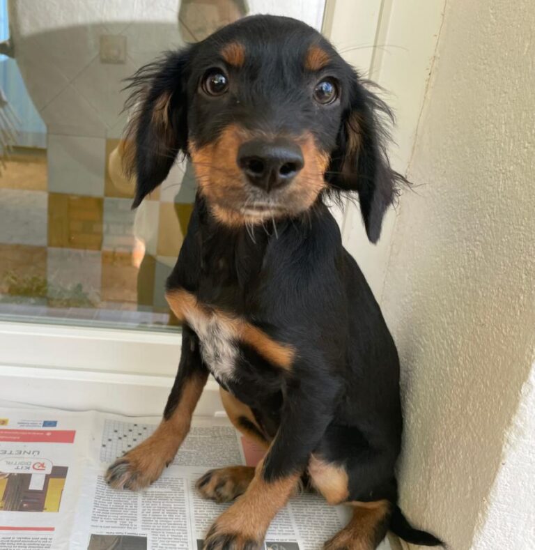 multimedia-foto85704-183-1