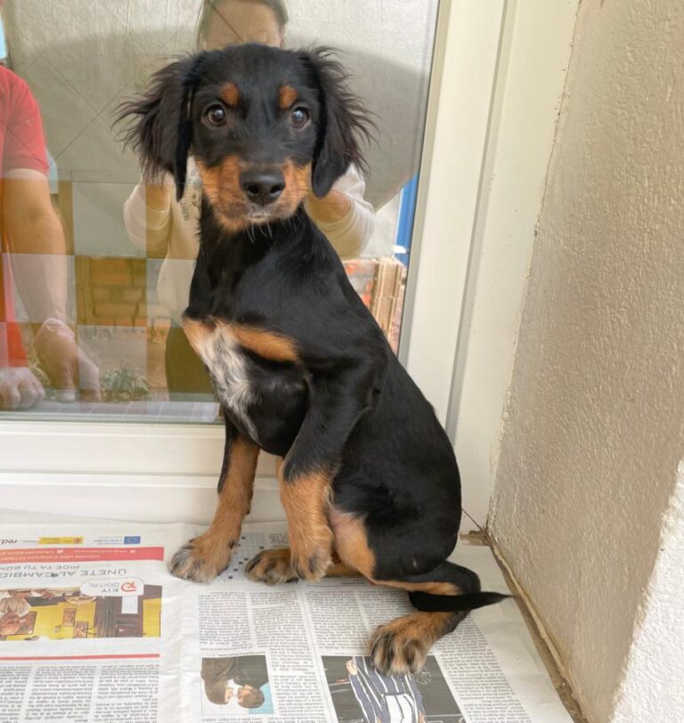 multimedia-foto85706-183-1