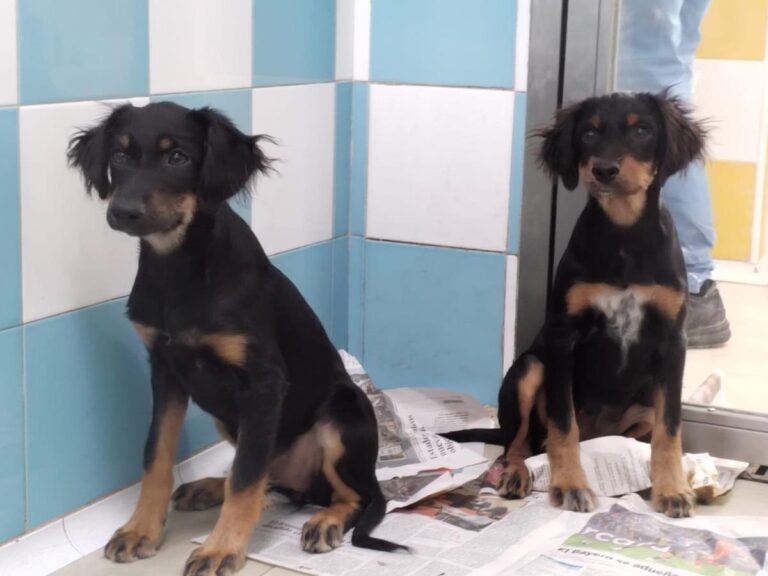 multimedia-foto85723-101-1