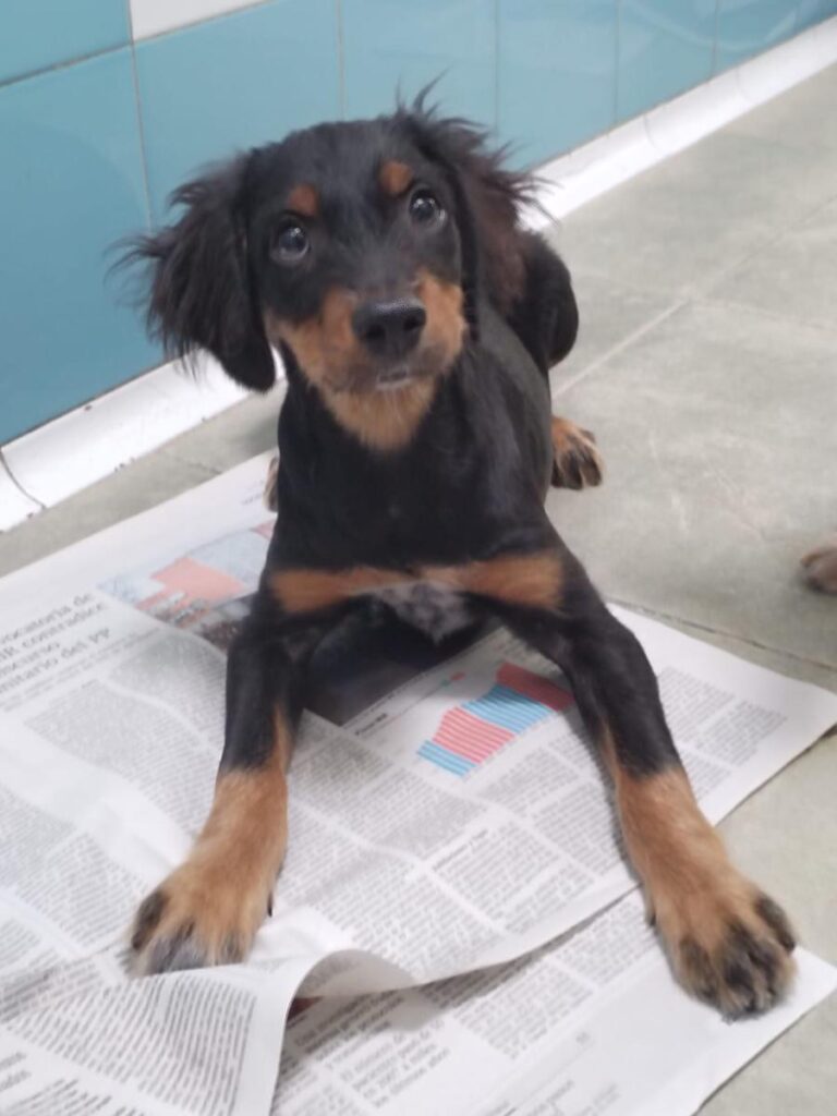 multimedia-foto85727-102-1