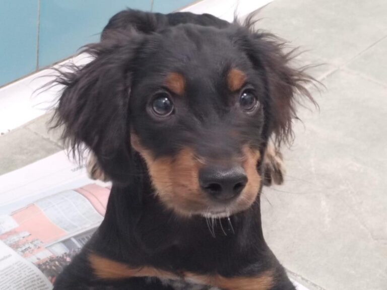 multimedia-foto85728-102-1