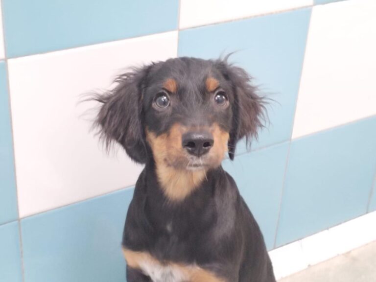 multimedia-foto85729-102-1