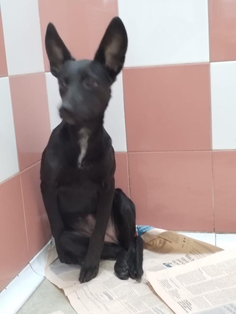 multimedia-foto85749-859-3