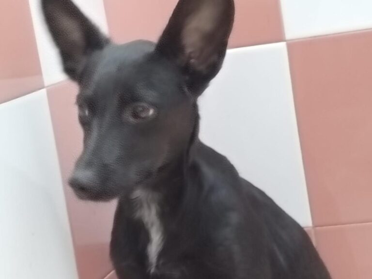 multimedia-foto85752-860-3