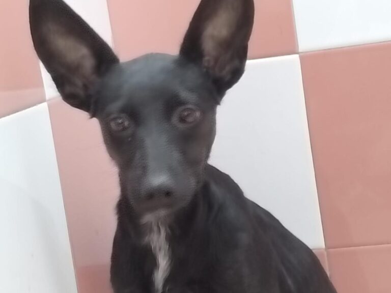 multimedia-foto85753-860-3