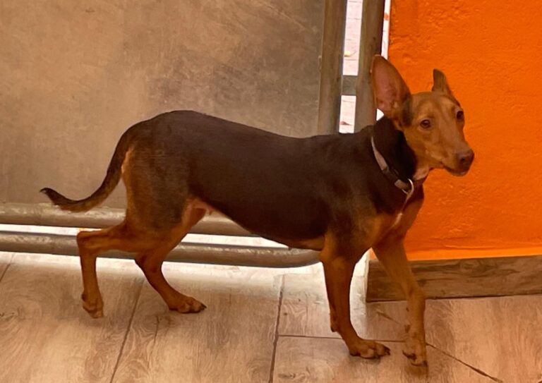 multimedia-foto85761-187-1