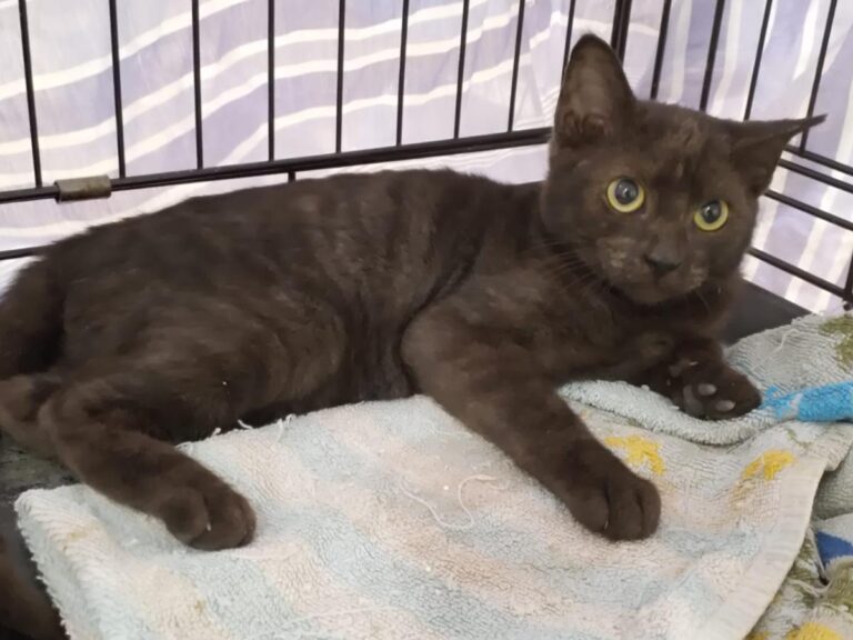 multimedia-foto85763-835-1