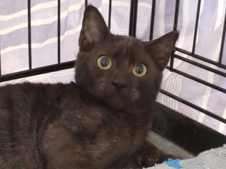 multimedia-foto85765-836-1