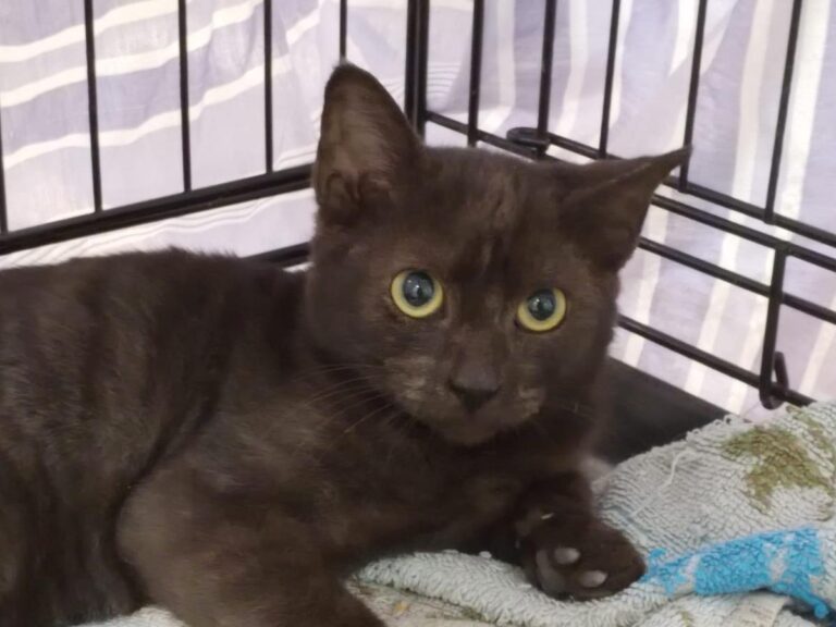 multimedia-foto85766-836-1