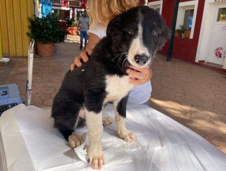 multimedia-foto85773-723-1