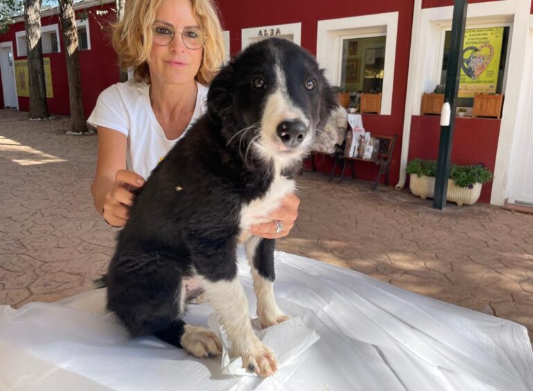 multimedia-foto85774-723-1