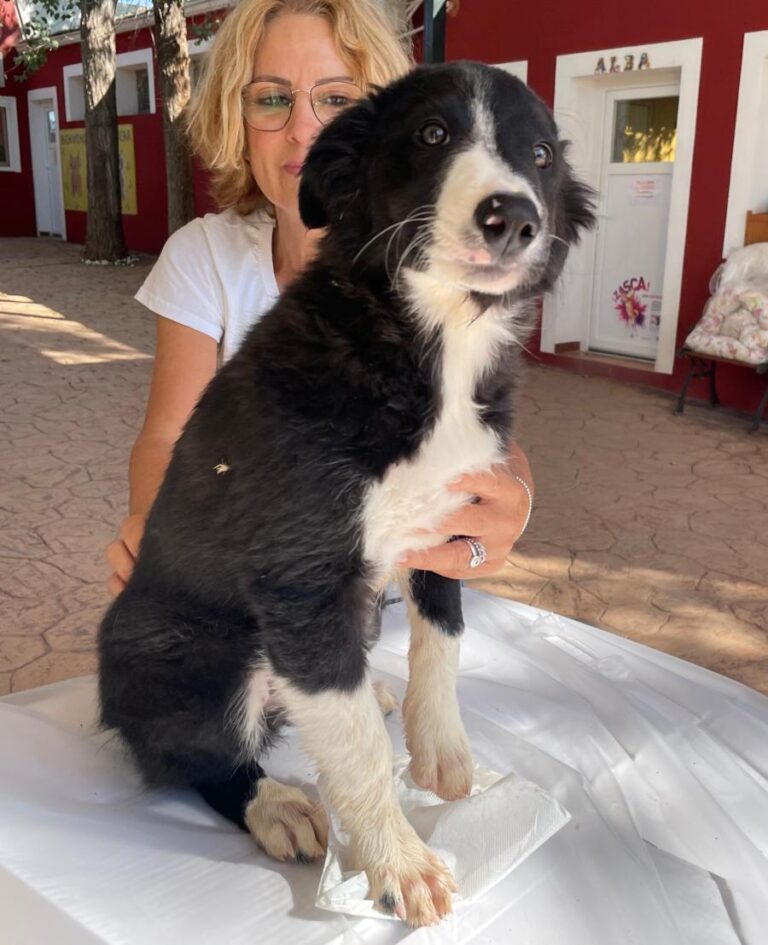 multimedia-foto85775-723-1