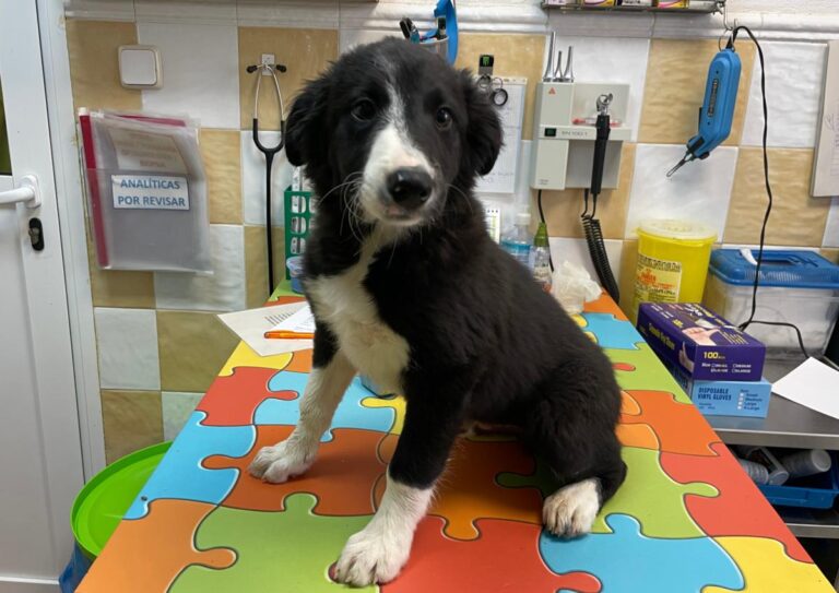 multimedia-foto85779-724-1