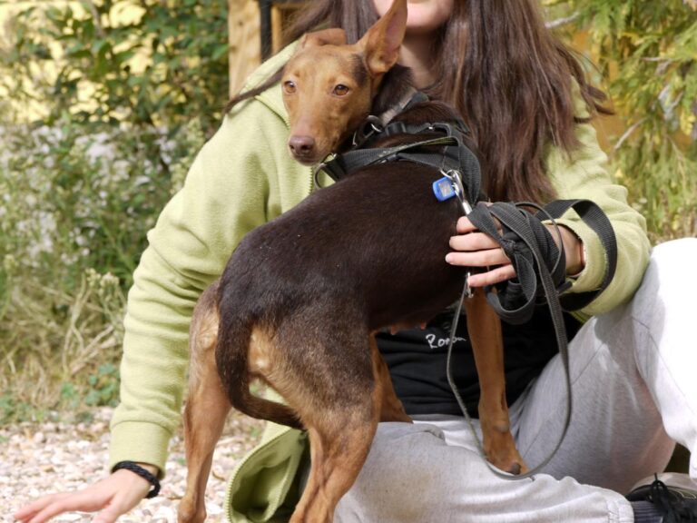 multimedia-foto85789-882-1