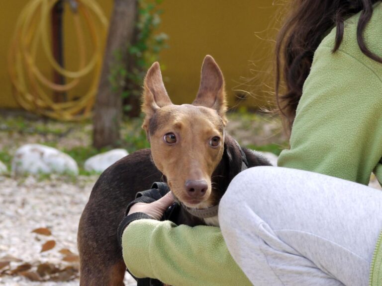 multimedia-foto85790-883-1