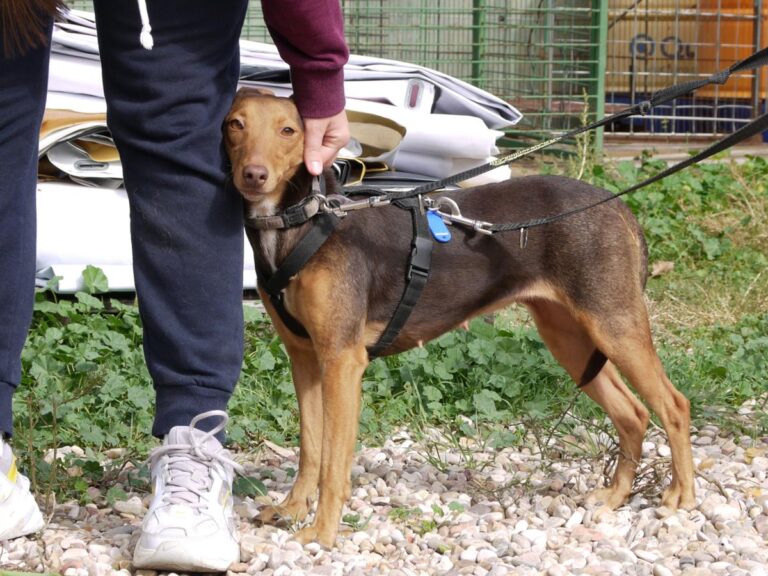 multimedia-foto85791-883-1