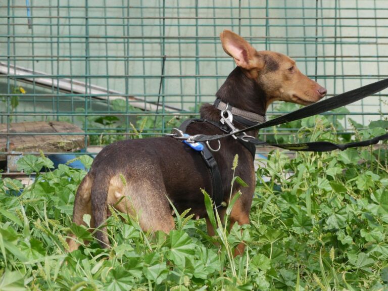 multimedia-foto85792-883-1