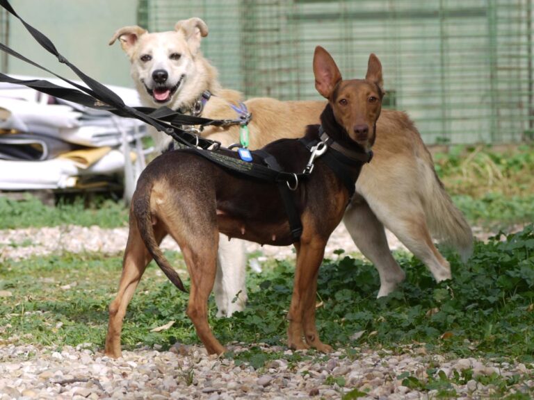 multimedia-foto85793-883-1