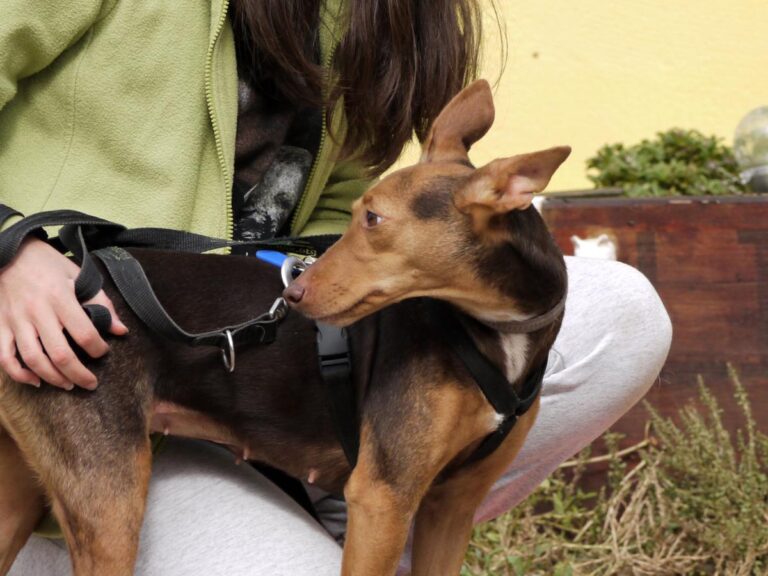 multimedia-foto85795-884-1