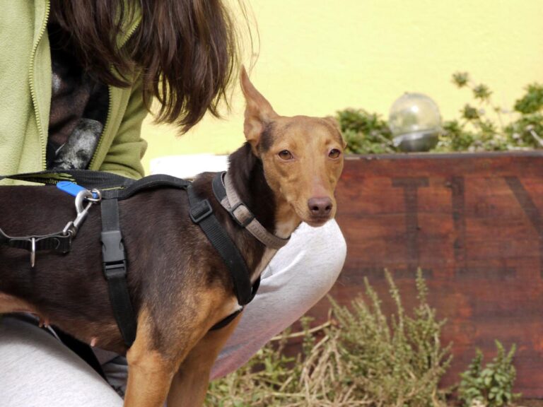 multimedia-foto85797-884-1