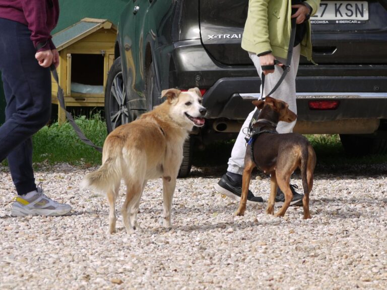 multimedia-foto85806-455-1