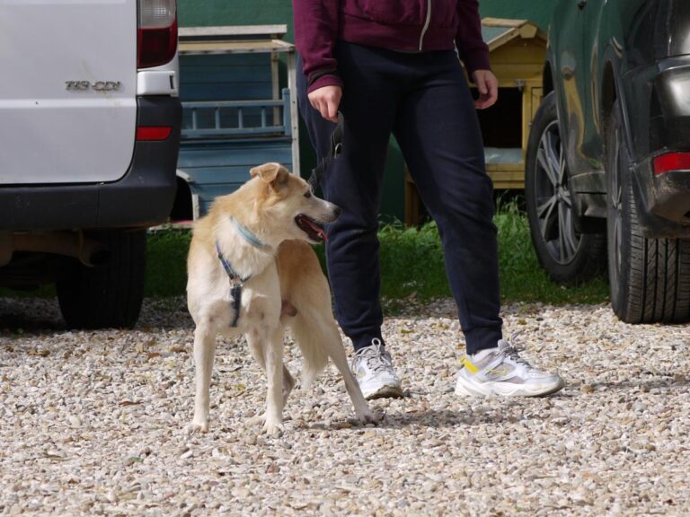 multimedia-foto85807-455-1