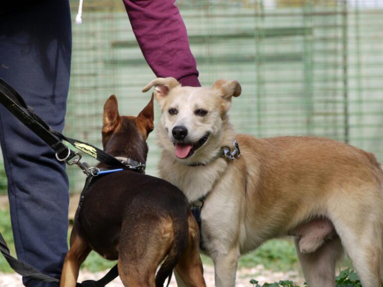 multimedia-foto85809-456-1