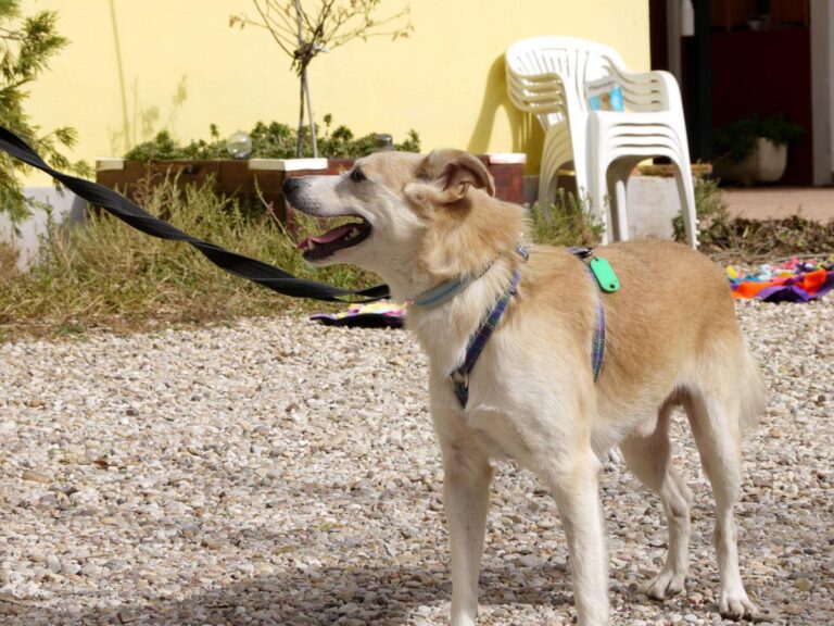 multimedia-foto85810-456-1