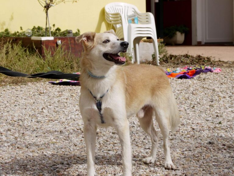 multimedia-foto85811-456-1