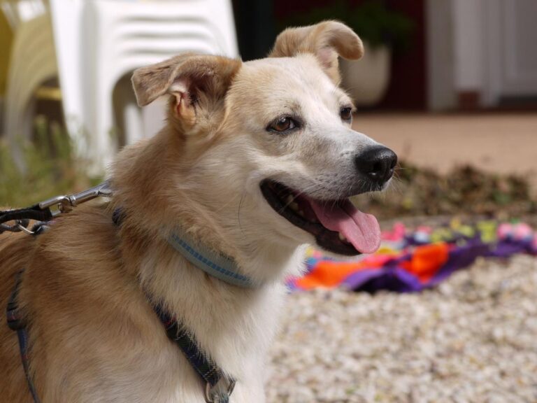 multimedia-foto85812-456-1