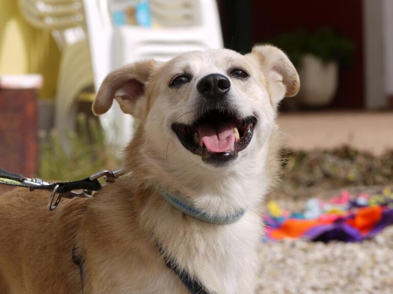 multimedia-foto85813-456-1