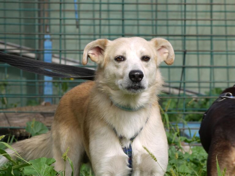 multimedia-foto85814-457-1