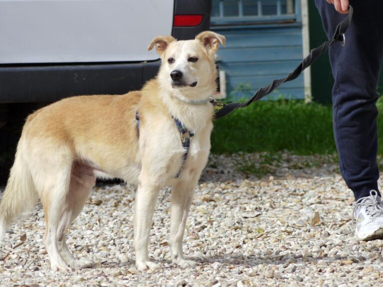 multimedia-foto85815-457-1