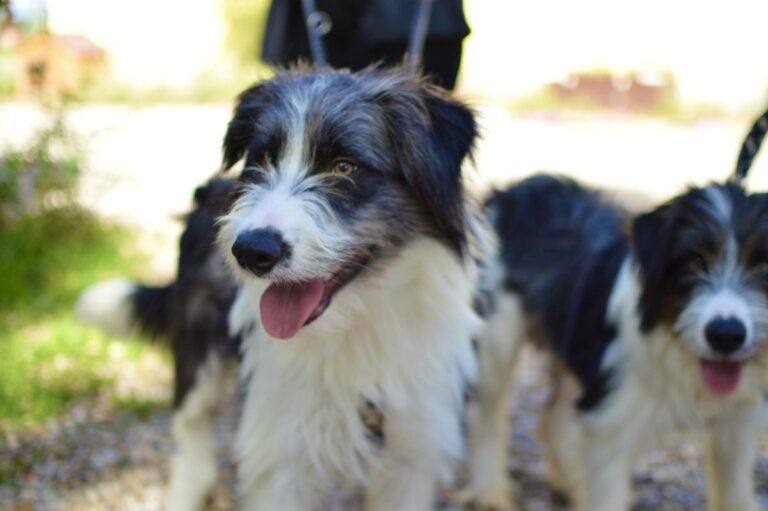 multimedia-foto85833-837-1