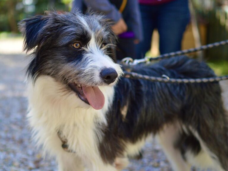 multimedia-foto85834-837-1