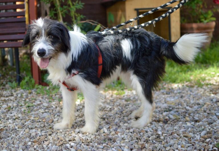 multimedia-foto85835-892-1