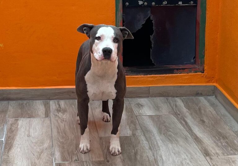 multimedia-foto85846-469-1