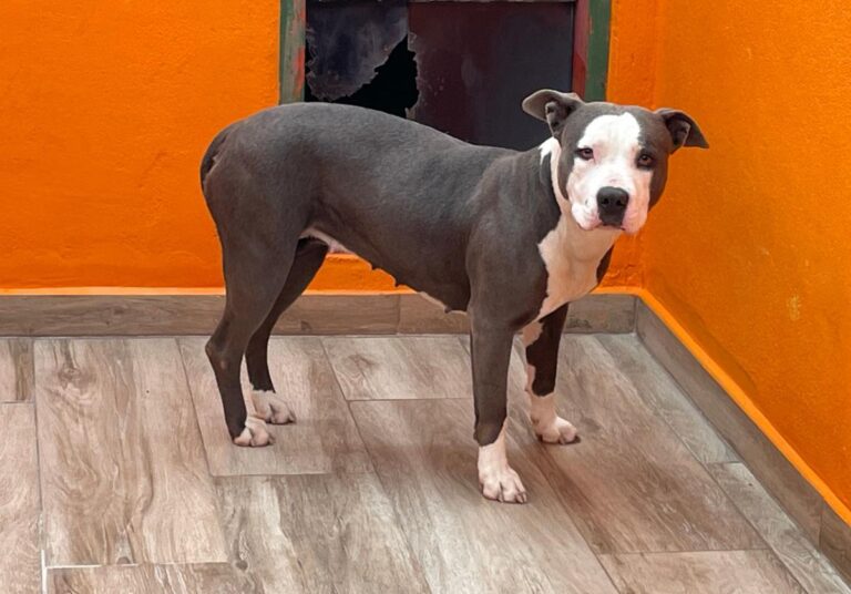 multimedia-foto85847-469-1