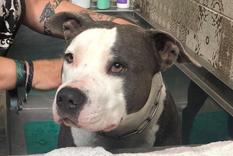 multimedia-foto85848-469-1